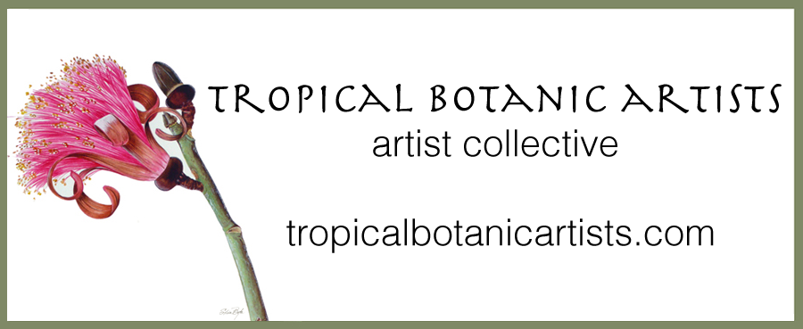 Tropical Botanic Artist Collective